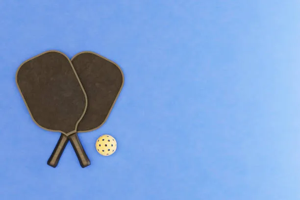 jual karpet pickleball portable