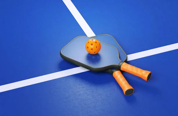 distributor karpet pickleball