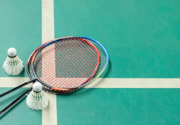 karpet lapangan badminton